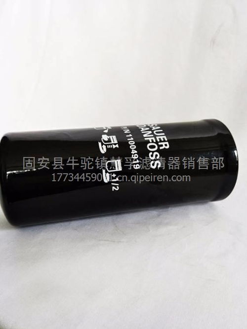 精品供應薩奧丹弗斯燃油濾芯11004919 優質潤滑油配件的選擇