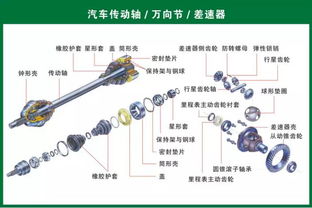史上最全汽車零部件圖，想要學習和投資的請收藏
